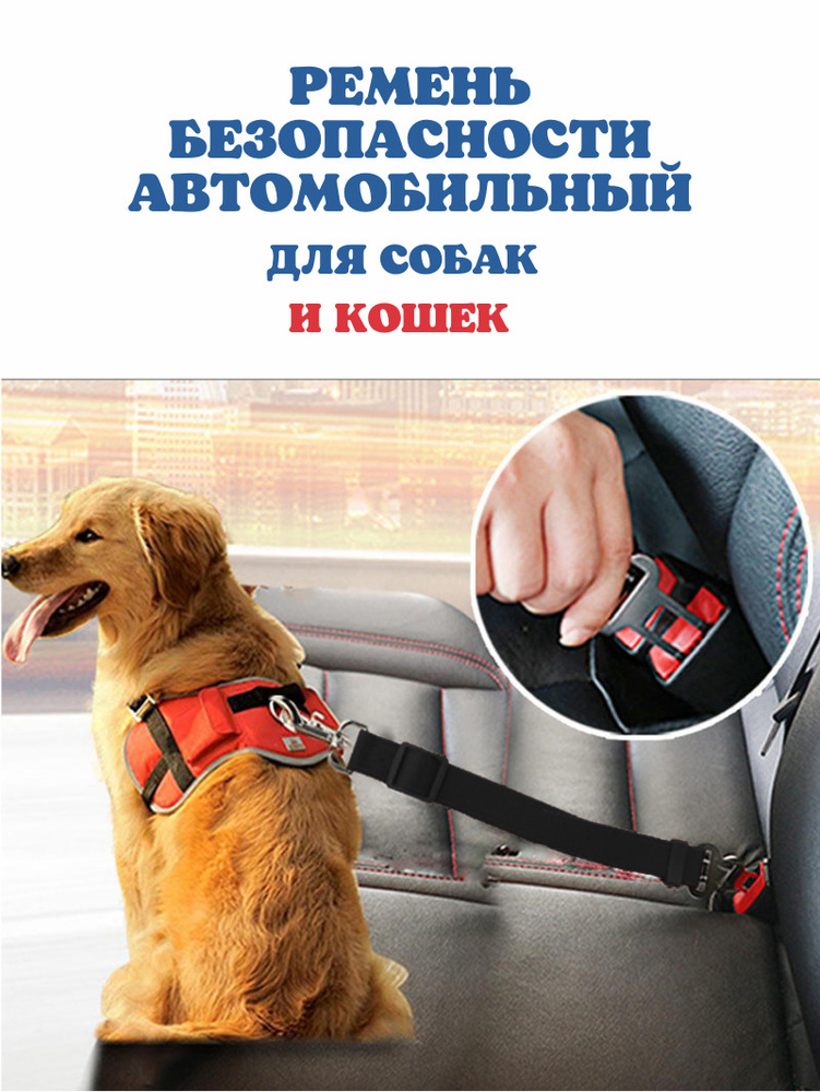 Ремень безопасности в машину для собак, кошек / поводок для животных в салон автомобиля / шлейка  #1