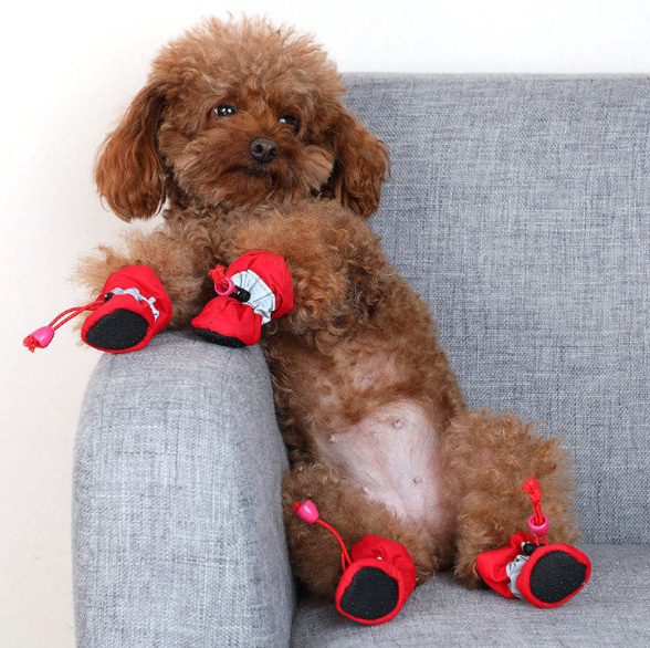 Непромокаемые ботинки для собак/обувь для собак мелких и средних пород, размер 3 (4,5 см) красный  #1