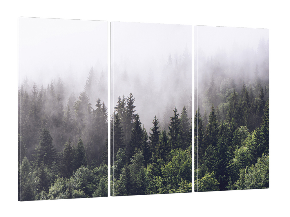Модульная картина для интерьера на стену / Пейзаж / "Туманный лес" 60x100 см MK30099_A  #1