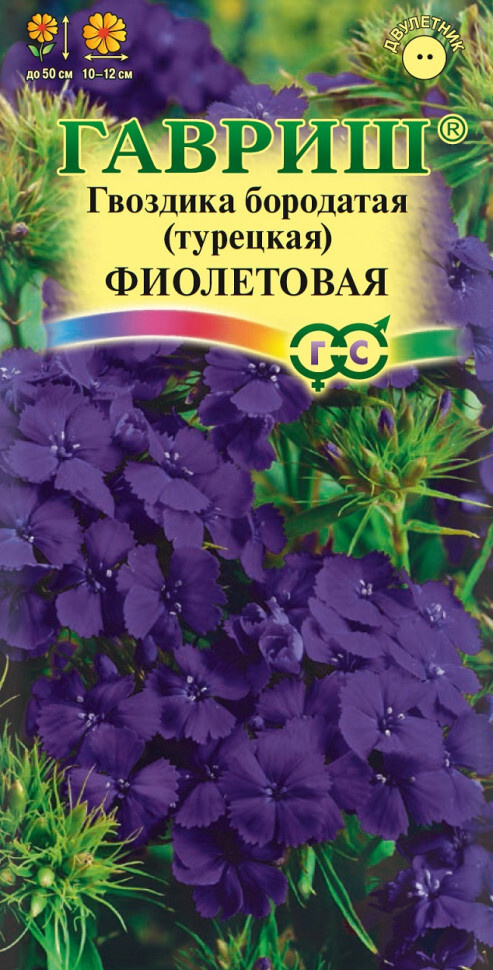 Семена Гвоздика турецкая Фиолетовая / Гавриш / Двулетник / 0,1 гр  #1