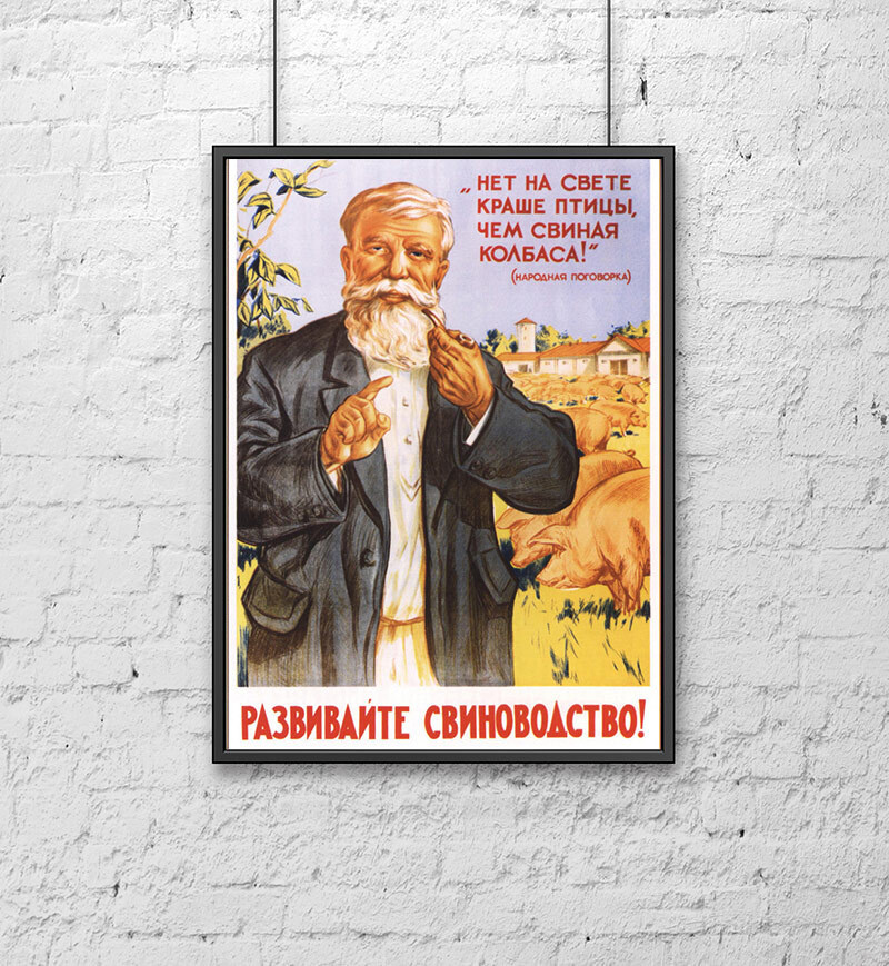 Ретро СССР плакат (30х40 см). Развивайте свиноводство! #1