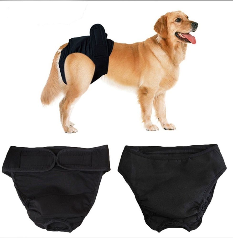 Трусы для собак на время течки,многоразовые , защитные для собак,размер XL.  - купить с доставкой по выгодным ценам в интернет-магазине OZON (558473457)