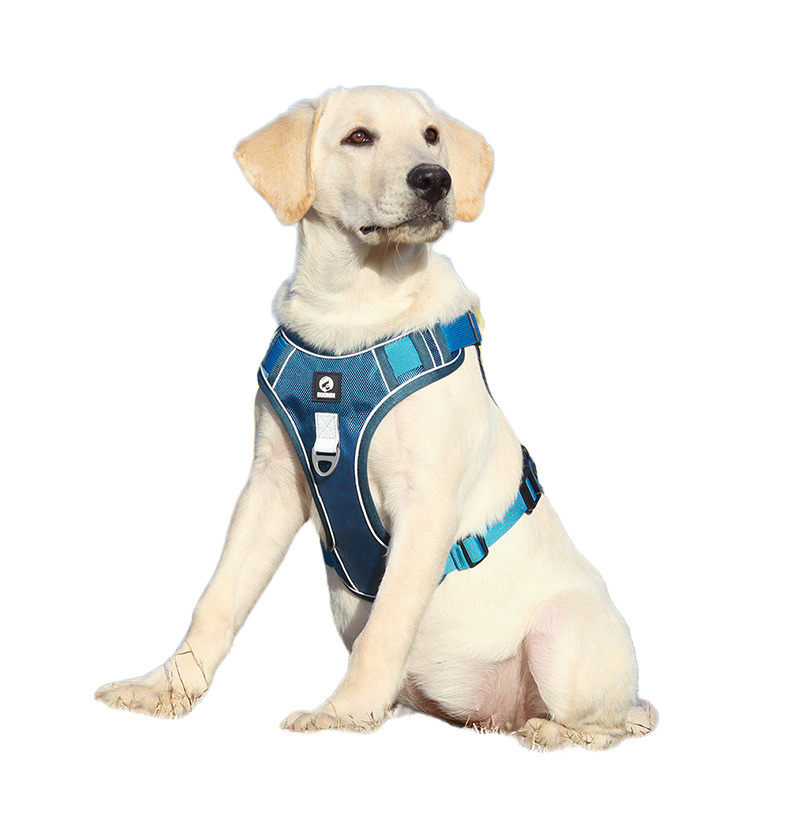 Шлейка для собаки, с подкладкой и светоотражающими полосками, размер S, обхват груди 36-50 см, синий #1
