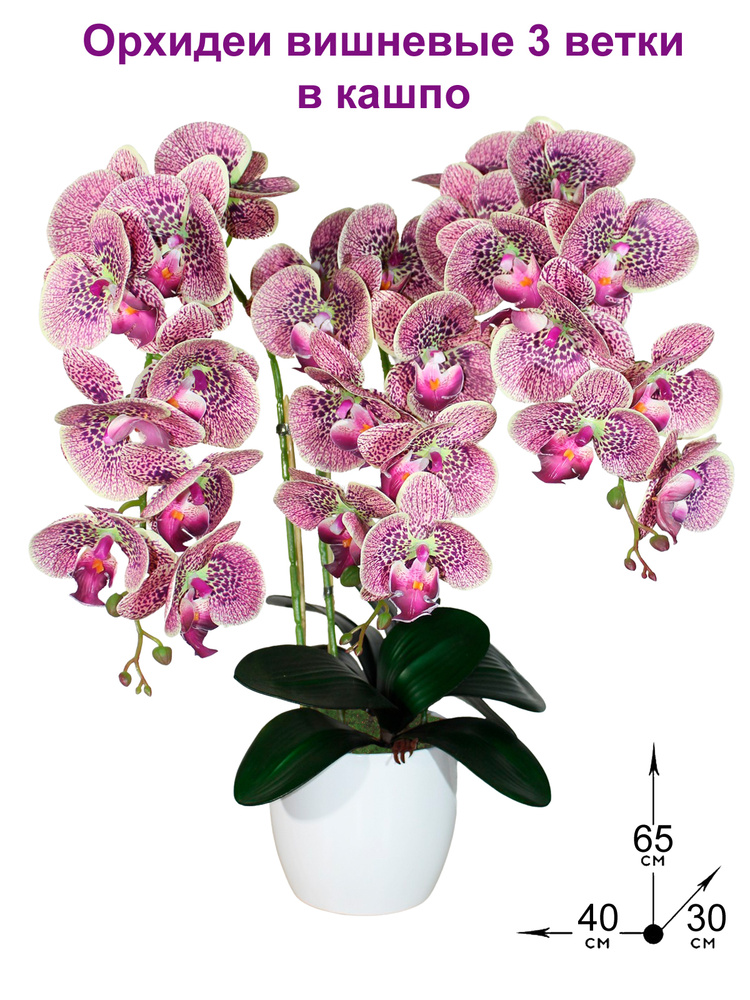 Искусственные цветы Орхидеи 3 ветки вишневые латекс в кашпо, 65 см, ФитоПарк, декор для дома, подарок #1