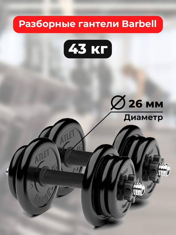 Гантели 21,5 кг - 2шт MB Barbell разборные #1