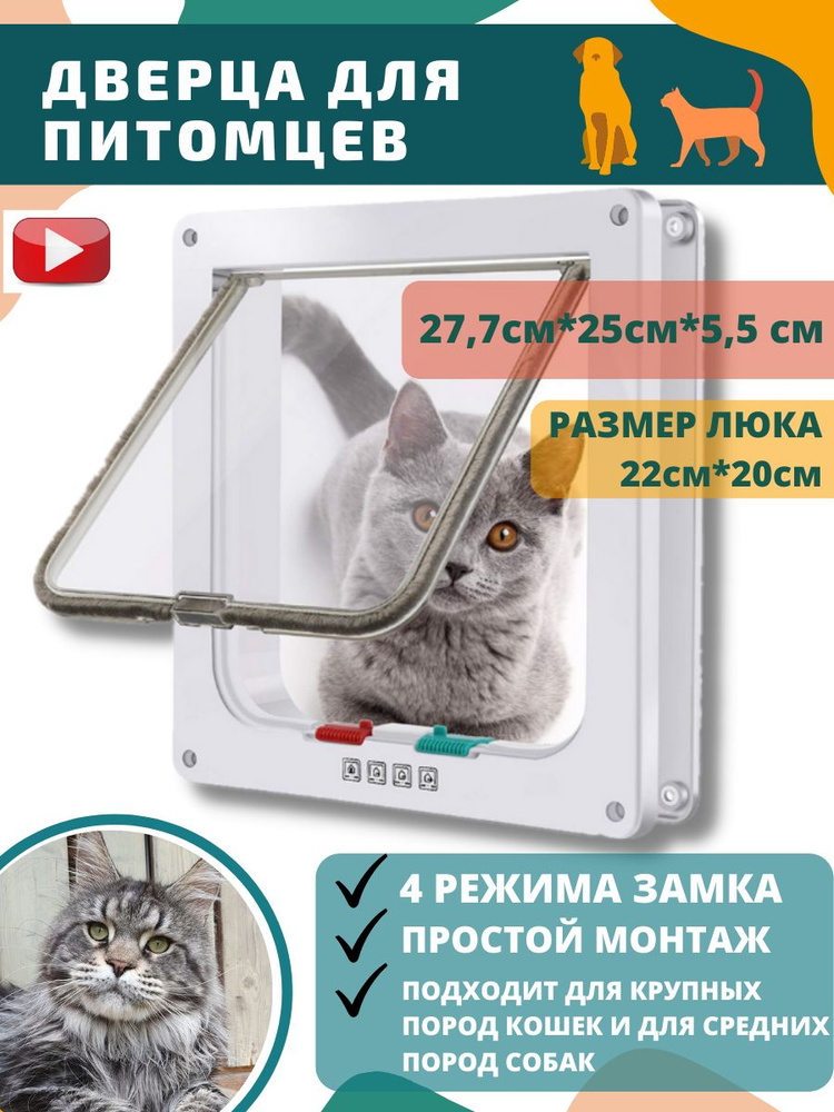 Дверка для больших пород кошек и средних собак - купить с доставкой по ...