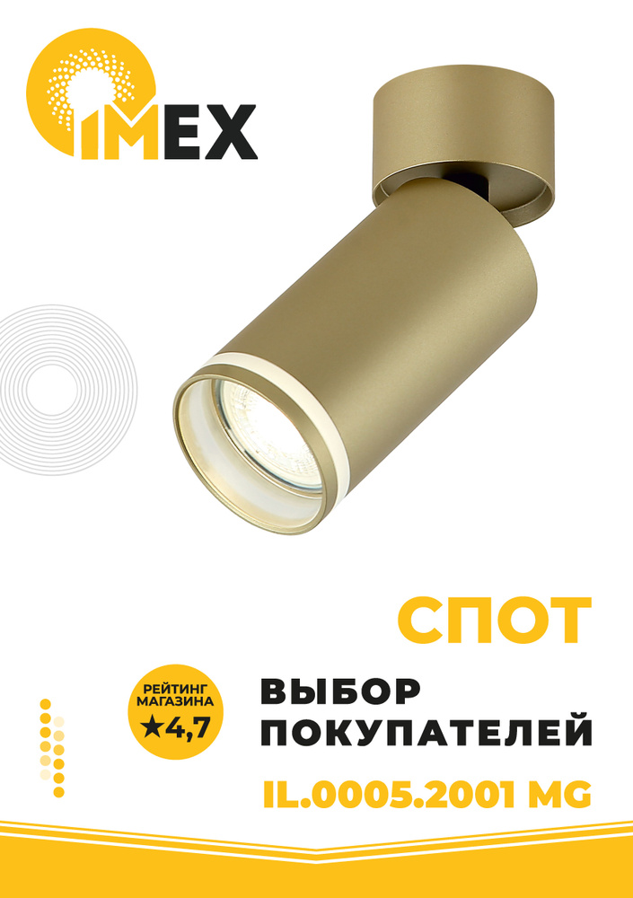 Спот настенно-потолочный IMEX IL.0005.2001 MG матовое золото #1