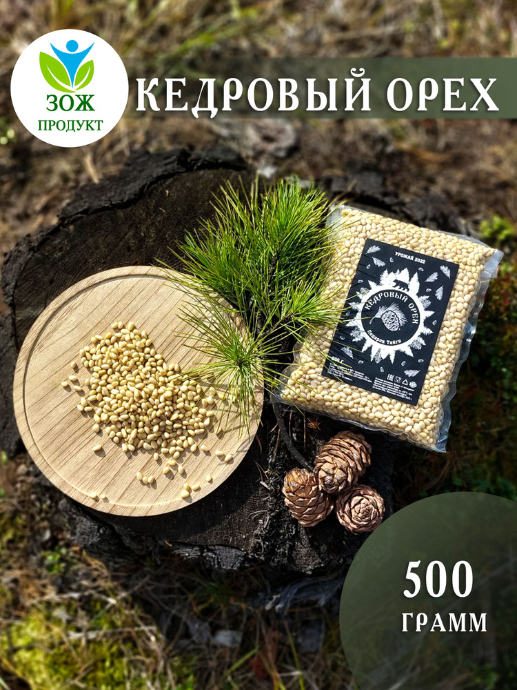 Орех кедровый очищенный 500 г #1