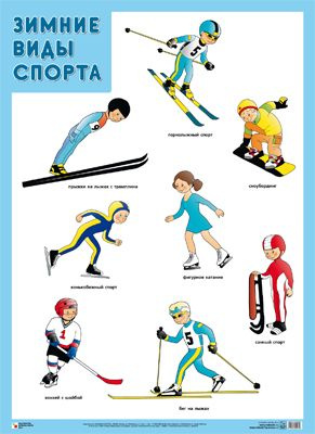 Плакат. Зимние виды спорта А2 #1