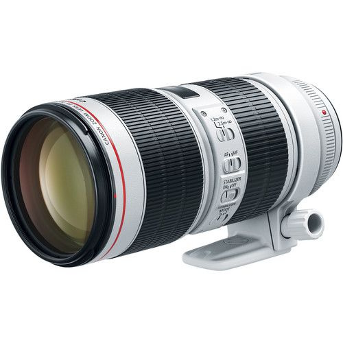 Объектив Canon EF 70-200mm f/2.8L IS III USM #1