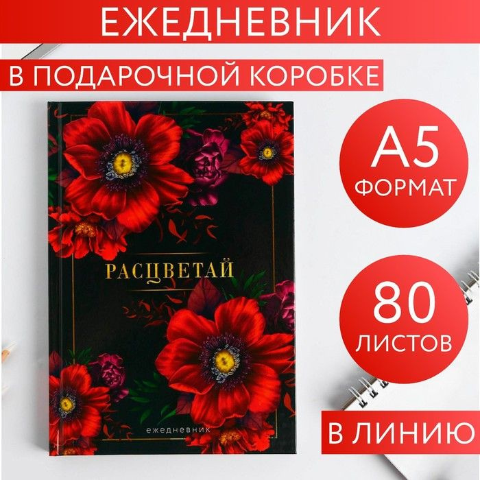 Ежедневник недатированный А5 .80 л .Разноцветный #1