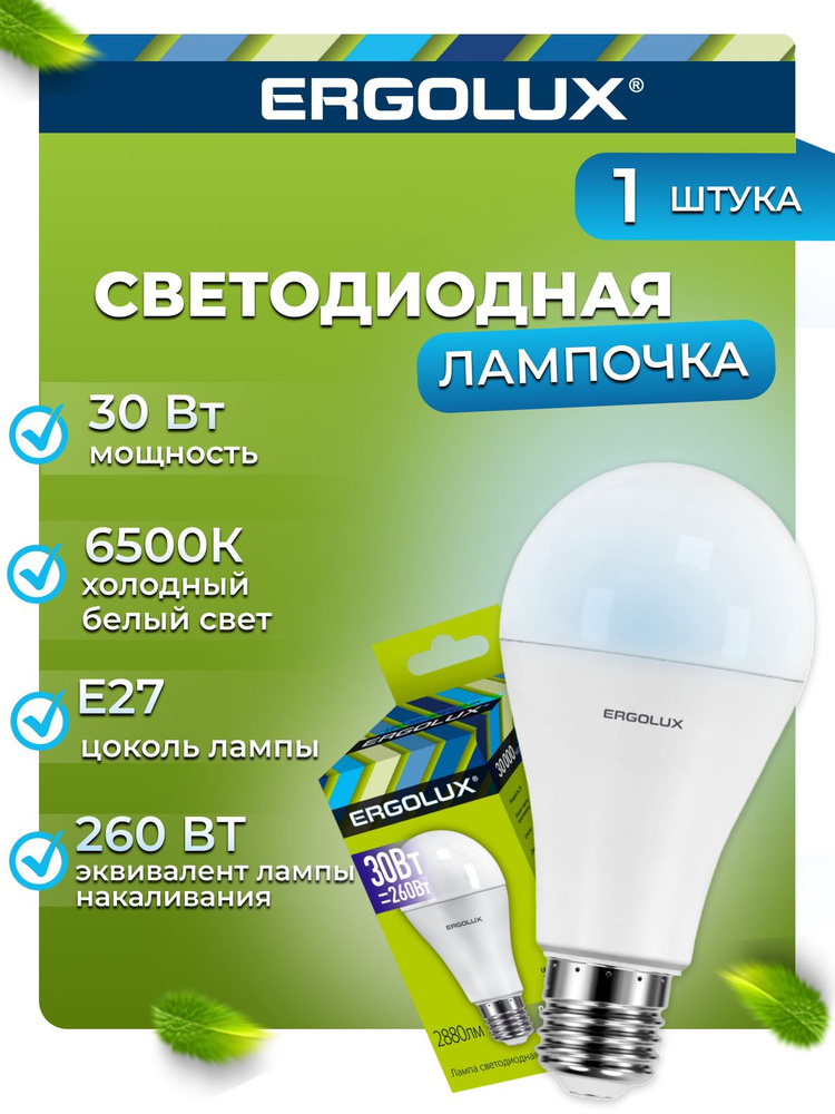 Светодиодная лампочка 6500K E27 / Ergolux / LED, 30Вт #1