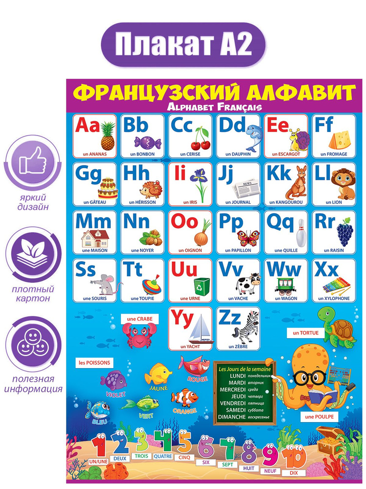 Плакат обучающий "Французский алфавит." в школу, картон , А2, 44х66 см.  #1