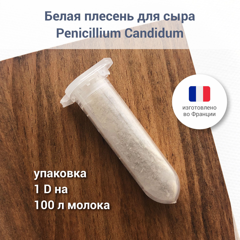 Белая плесень для домашнего сыра Penicillium Candidum, 1 D #1