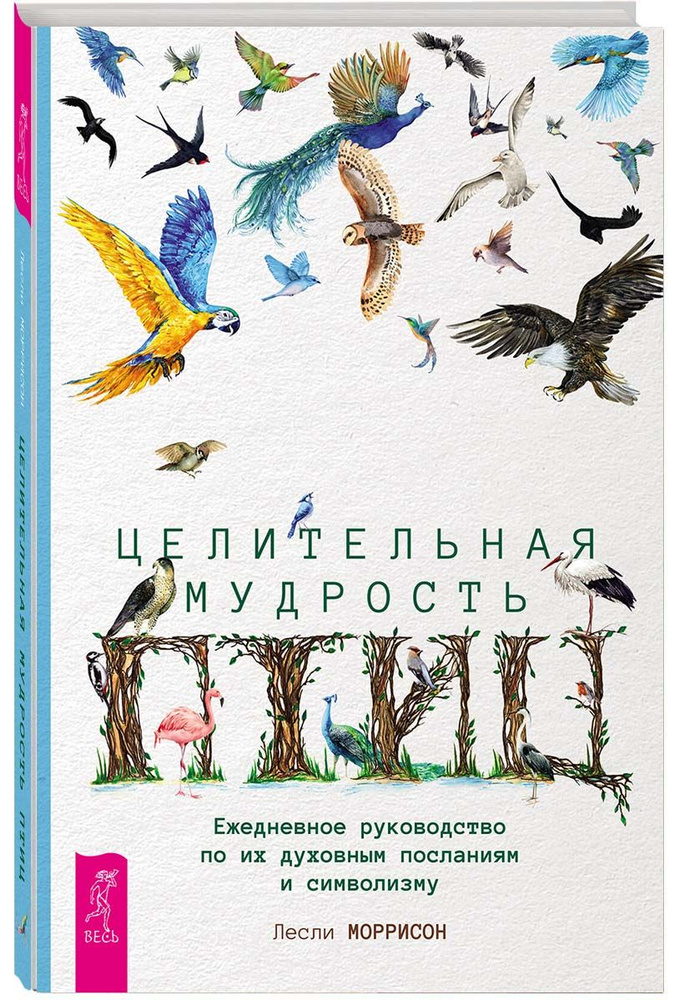 Целительная мудрость птиц: ежедневное руководство по их духовным посланиям и символиз | Моррисон Лесли #1