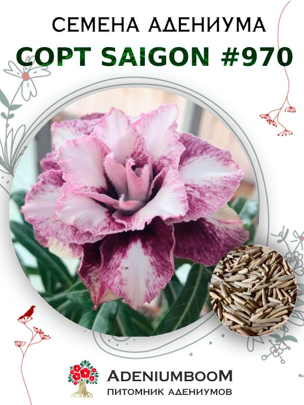 Семена Адениума Обесум от Saigon Adenium #970 (4шт.) / семена цветов комнатных суккулентов, набор семян #1