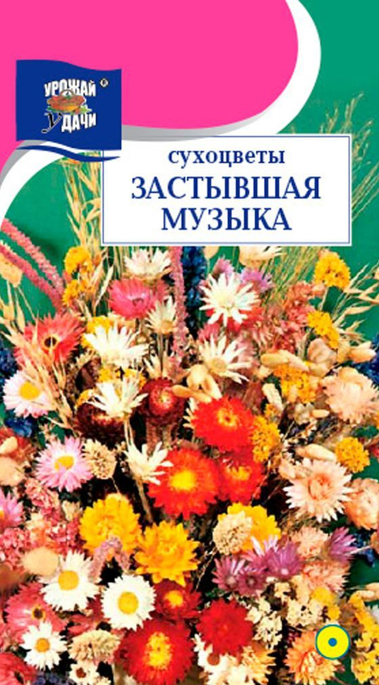 Сухоцветов ЗАСТЫВШАЯ МУЗЫКА смесь растений (Семена УРОЖАЙ УДАЧИ, 0,3 г семян в упаковке)  #1