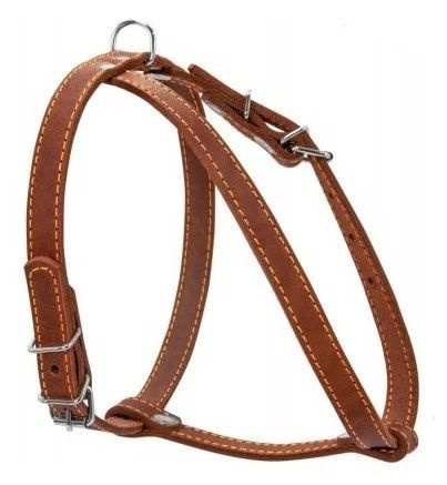 Collar Шлея одинарная (для мелких пород собак,ширина 14мм) коричневый  #1