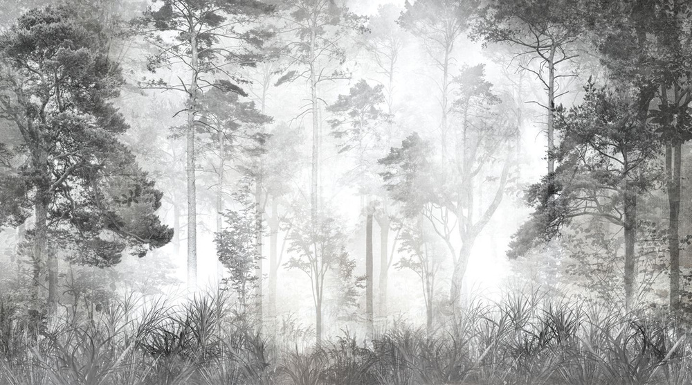 Фотообои флизелиновые на стену 3д GrandPik 10257 "Лес в тумане" см(ШхВ), 450х250 см  #1