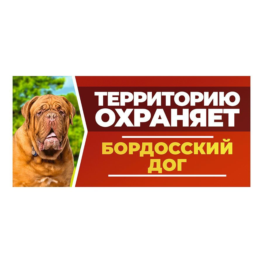 Табличка, DANGER DOG, Бордосский дог, на забор, 30см х 14см #1