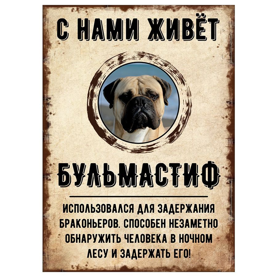 Табличка, декоративная, DANGER DOG, С нами живет Бульмастиф, 18см х 25см  #1