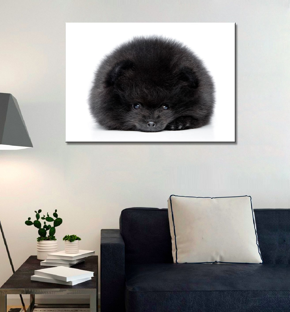 Картина на холсте для интерьера Шпиц черный, животные, собака (4) 40х60  #1