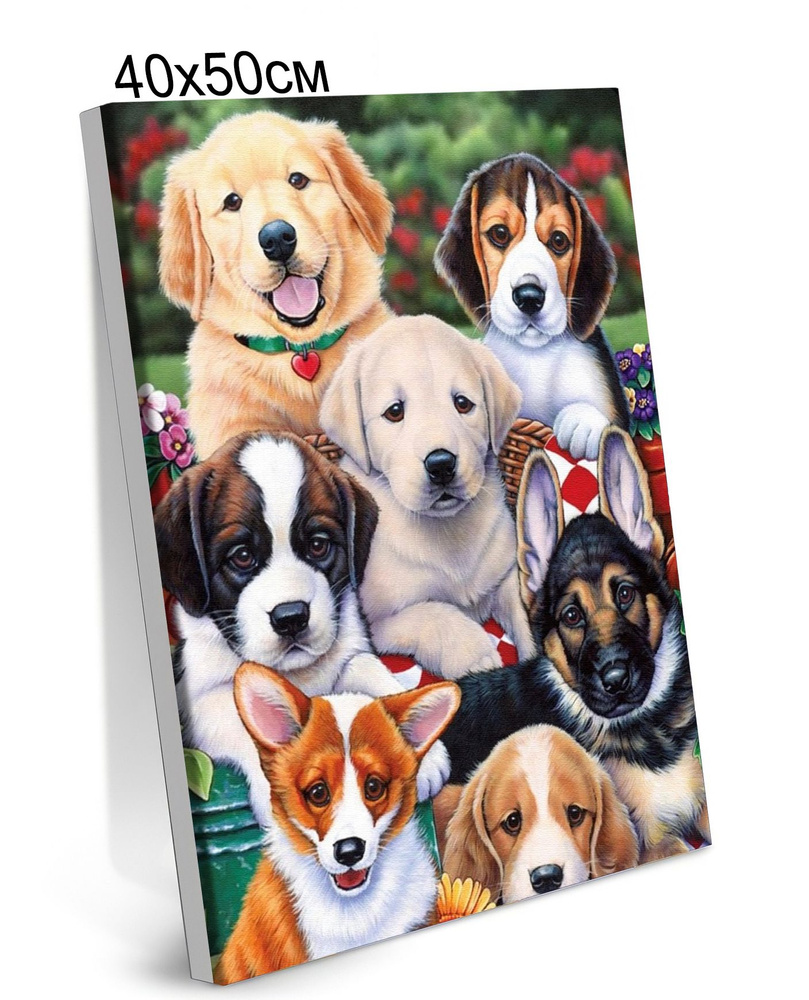 Картина по Номерам на Холсте 40х50 см Colibri Щенки Собаки Животные С Подрамником Для Детей и Взрослых #1