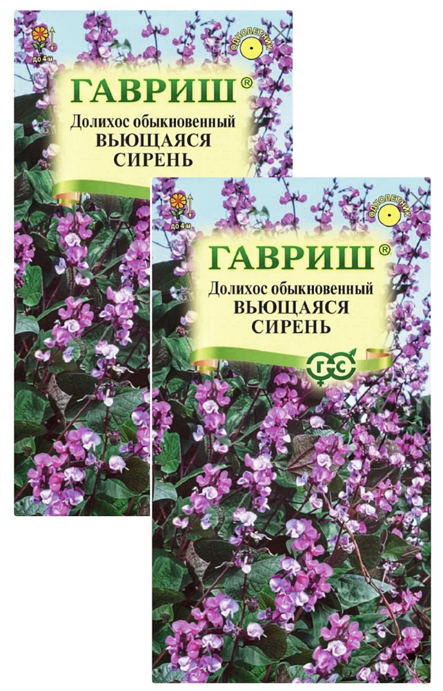 Долихос (Гиацинтовые бобы) Вьющаяся сирень, 2 пакета, семена 4 шт, Гавриш  #1