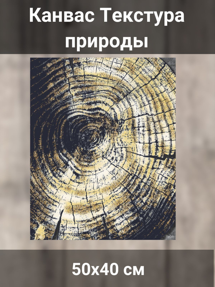 Канвас 40х50 см Текстура природы #1