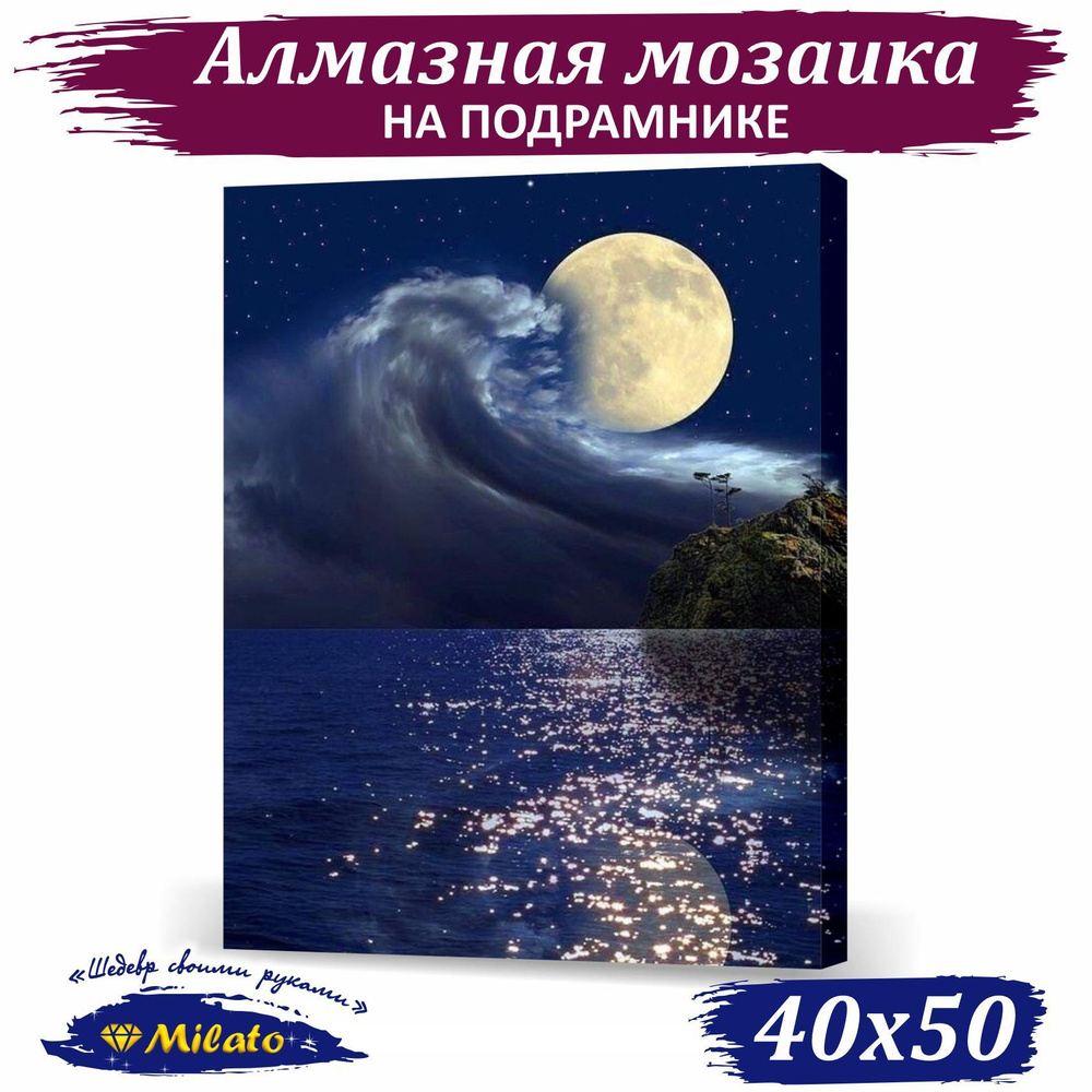 Алмазная мозаика на подрамнике 40x50 см. Алмазная вышивка "Лунная соната" 35 цветов, полная выкладка. #1