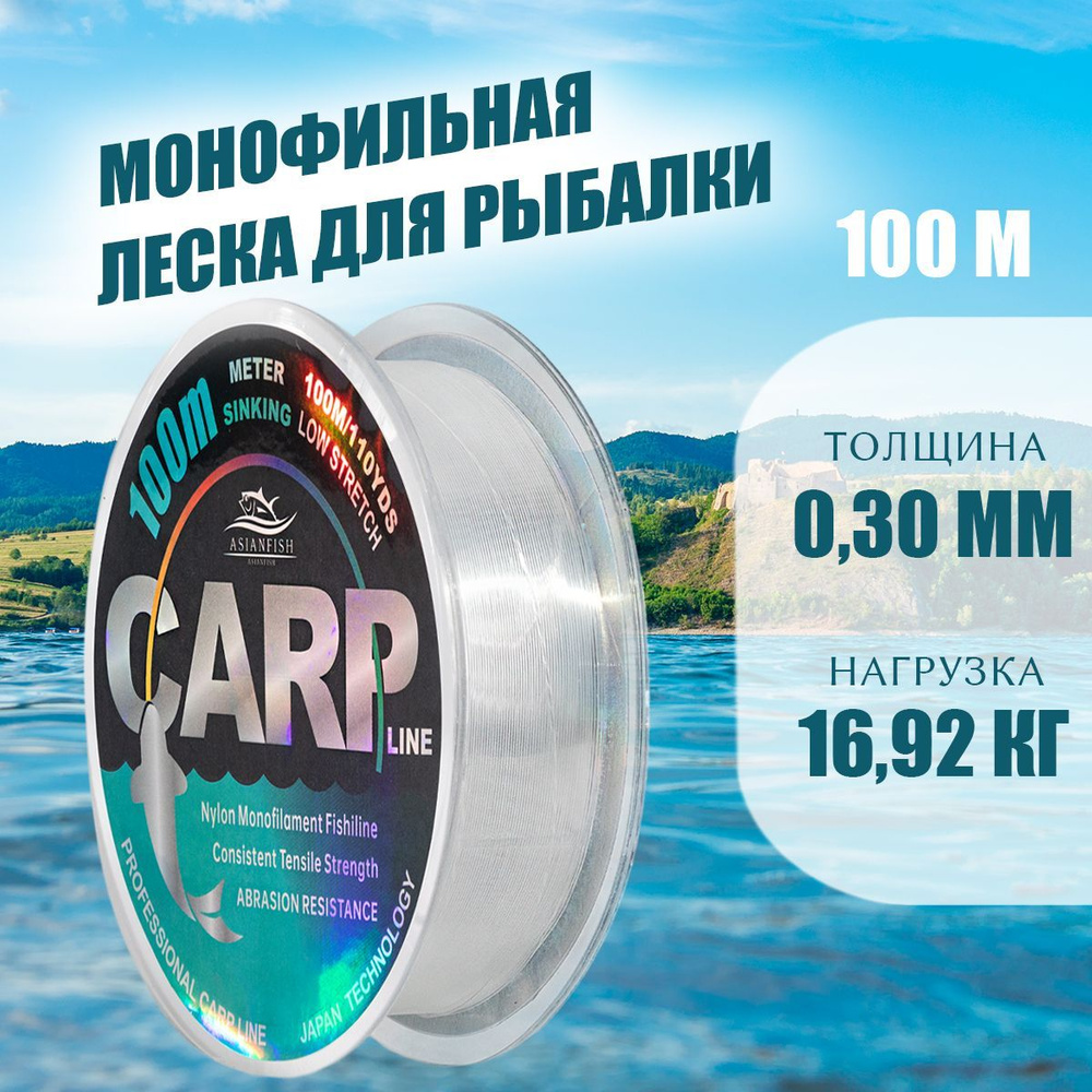 ASIANFISH Монофильная леска для рыбалки, размотка: 100 м, толщина: 0.3 мм  #1