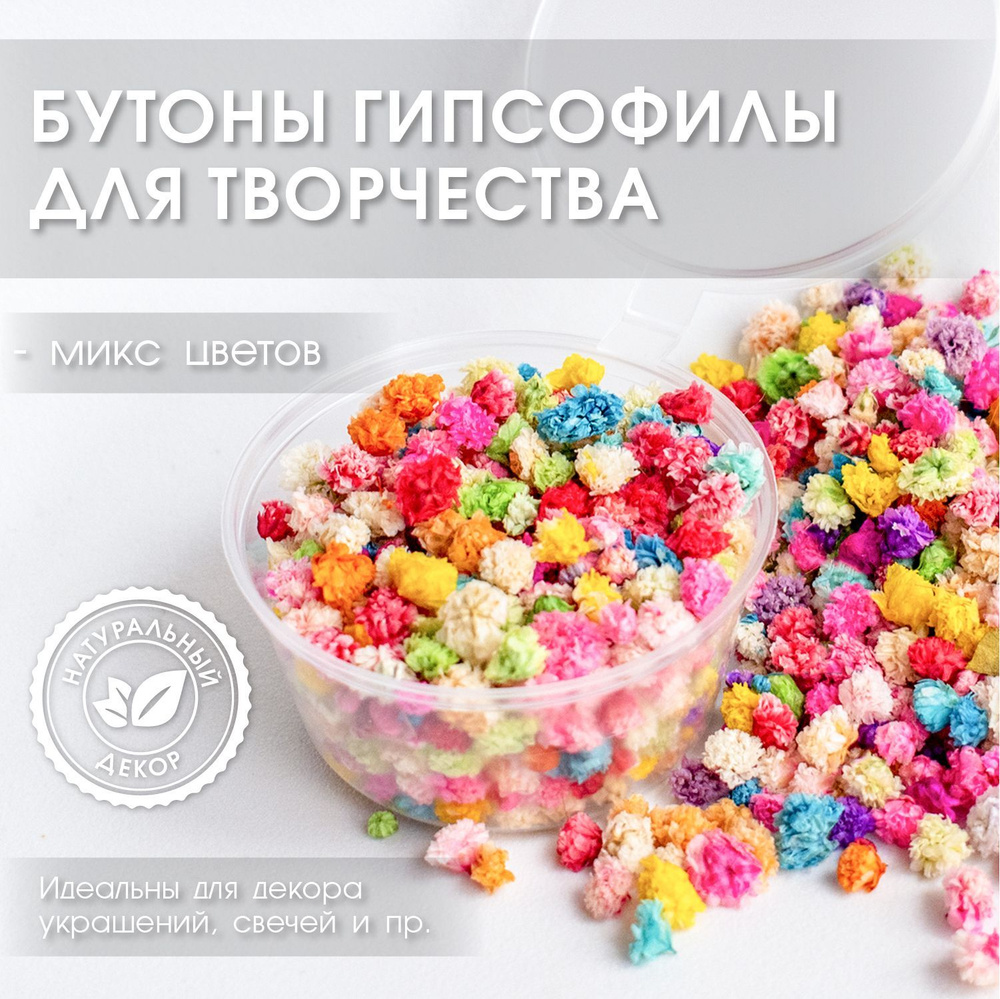 ENiNE decor Сухоцветы Гипсофила, 4 гр, 1 шт #1