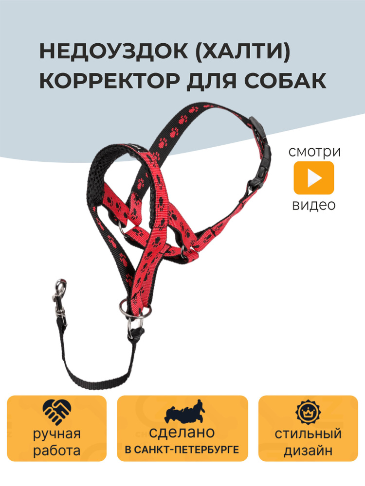 Недоуздок (Халти) корректор для собак CHOKERZ. Обхват морды 20-30 см, шеи - 40-50.  #1