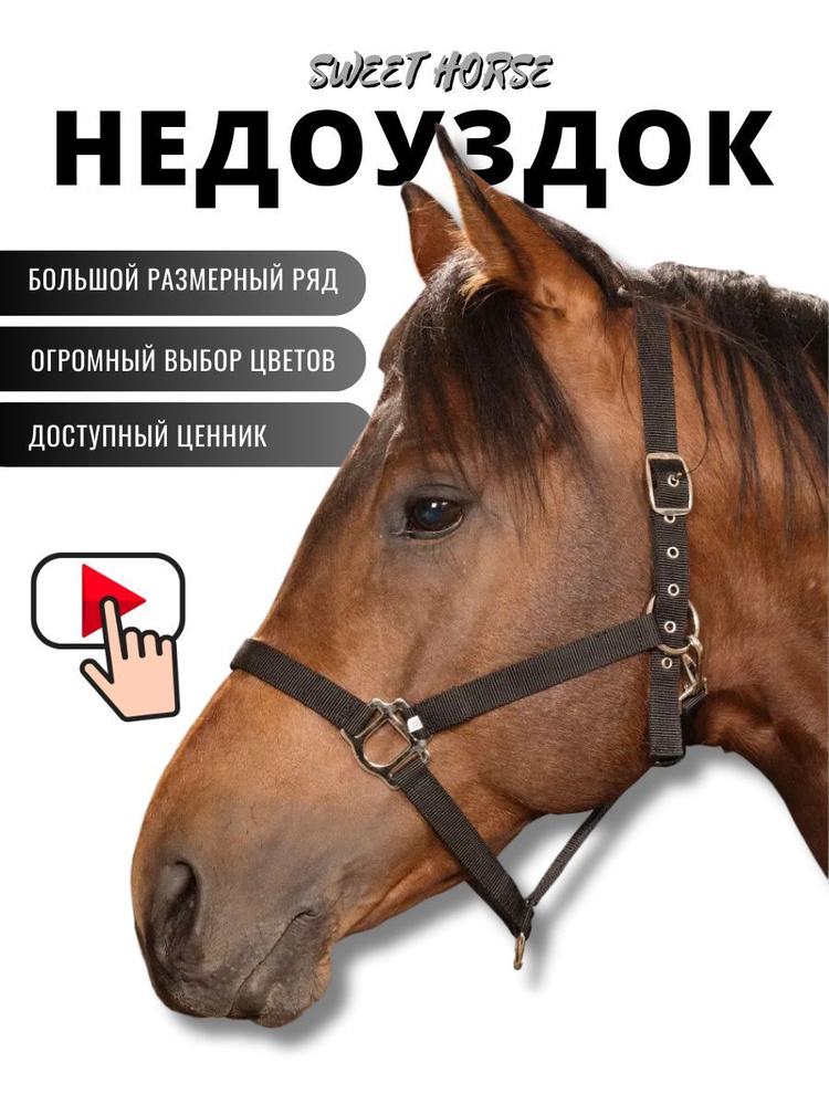 Sweethorse / Недоуздок для лошади и пони FULL #1