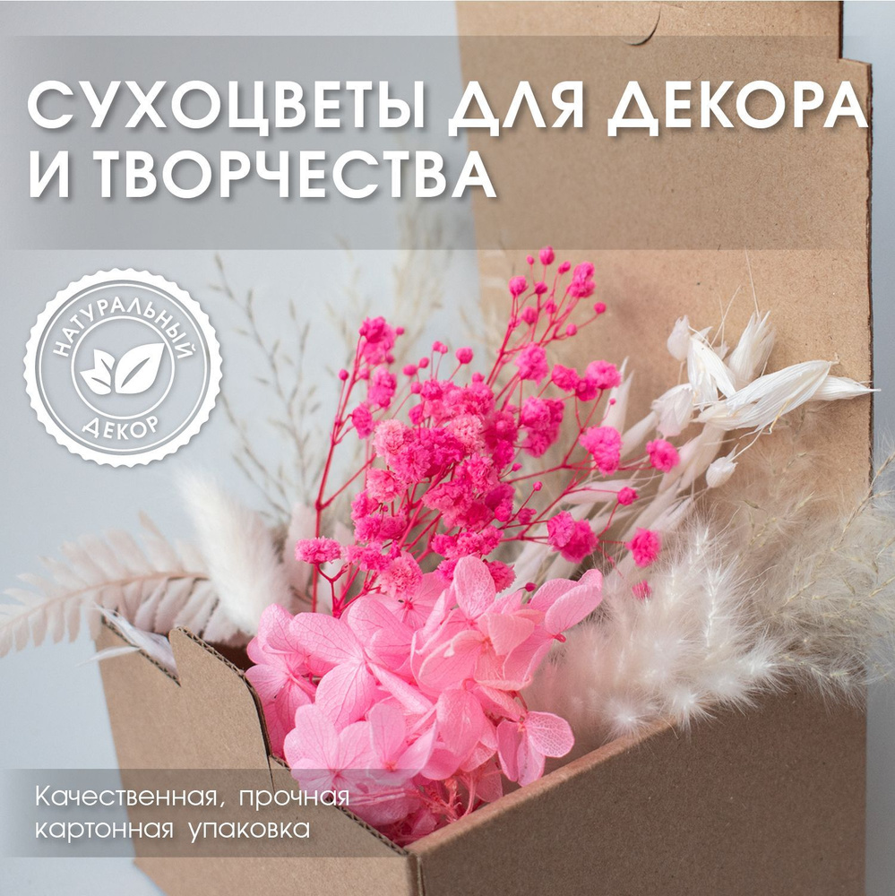 ENiNE decor Сухоцветы Гортензия, Гипсофила, 10 см, 10 гр #1