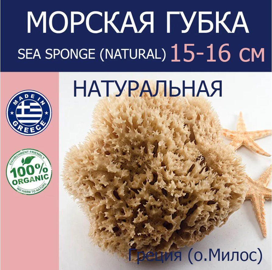 Губка морская натуральная Milos,15-16см Греция #1