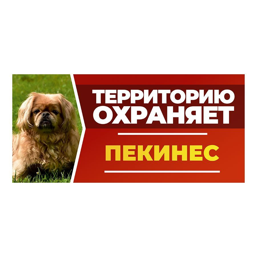 Табличка, DANGER DOG, Пекинес, на забор, 30см х 14см #1