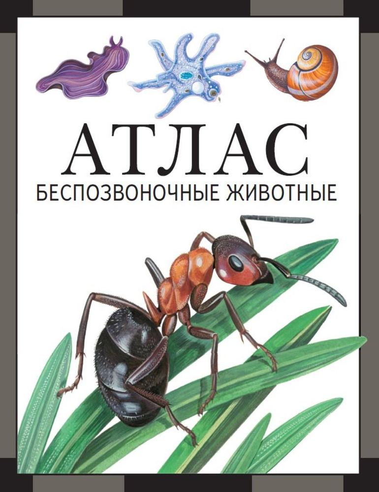 Беспозвоночные животные : атлас | Дольник Виктор Рафаэльевич, Козлов Михаил Алексеевич  #1