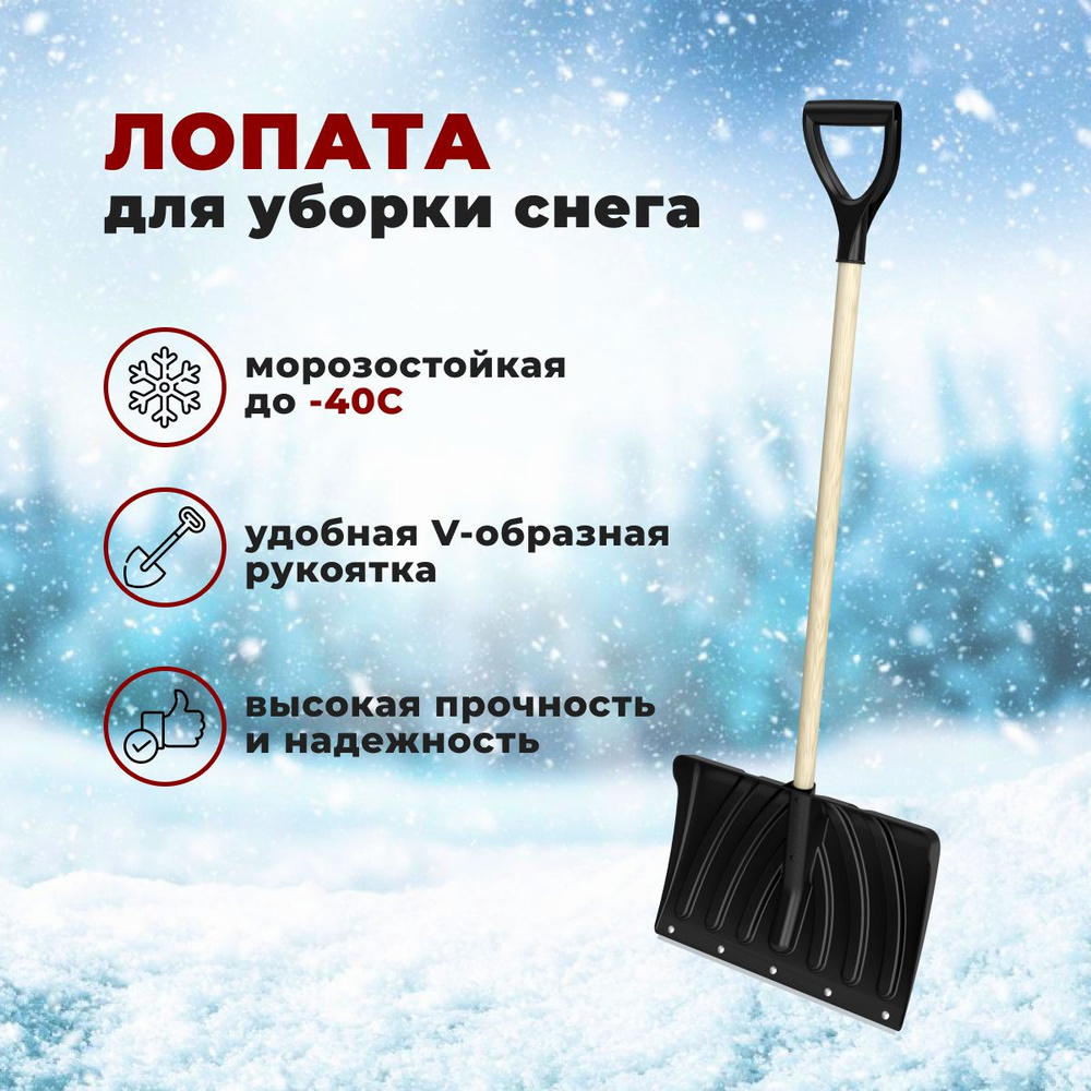 Калатея Лопата для уборки снега #1