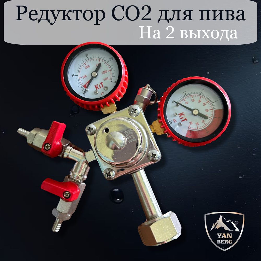 Янберг/ Редуктор углекислотный CO2 на 2 сорта Quadro на 2 выхода  #1