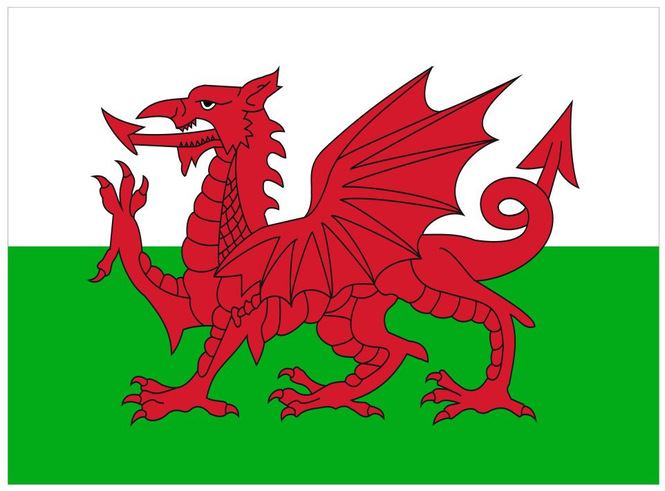 Флаг Уэльса 90х135 см с люверсами #1