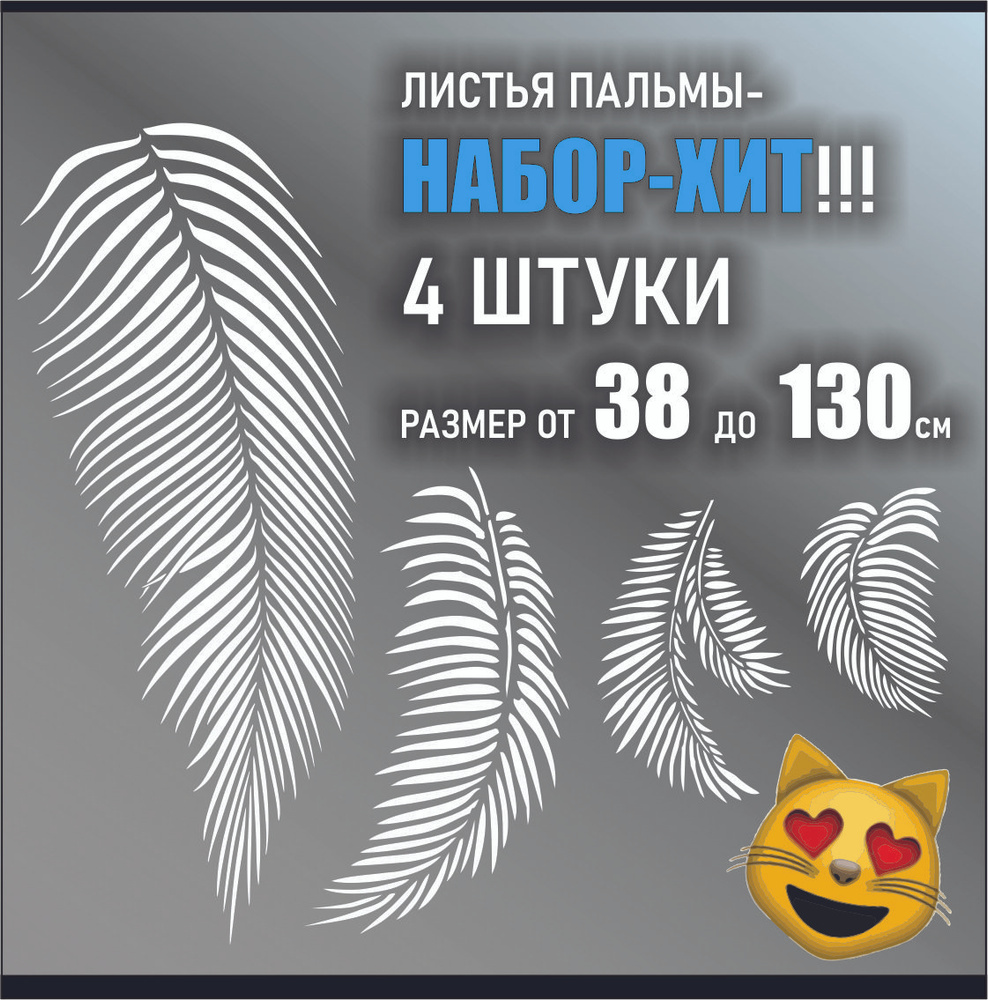 Пересадка пальмы: тонкости ухода за домашними пальмами