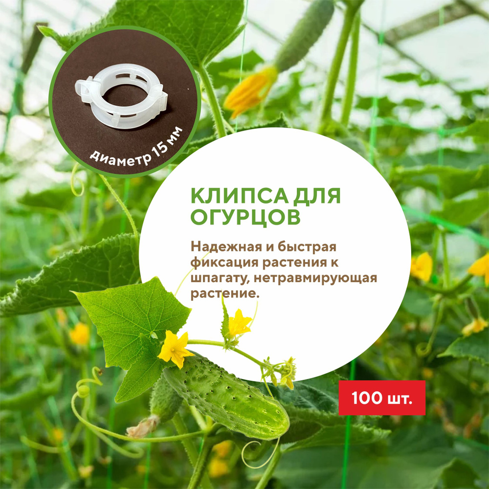 Клипса для подвязки огурцов и растений 15 мм (100 шт). Green Terra  #1