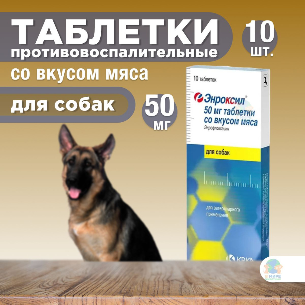 KRKA Энроксил 50 мг, таблетки для собак со вкусом мяса, 10 таблеток ...