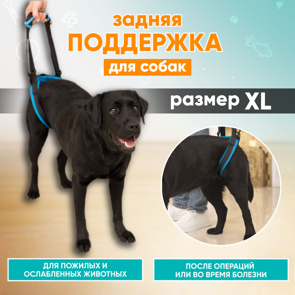 Ходунки для собак, поддержка задних лап собак, Mr.Dog - купить с доставкой  по выгодным ценам в интернет-магазине OZON (257438408)