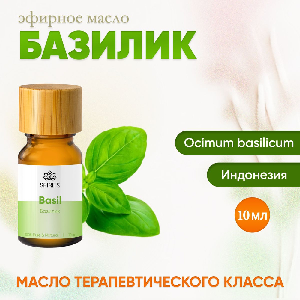 Эфирное масло, Масло для массажа, Базилик метилхавикольный (Ocimum basilicum), 10 мл  #1