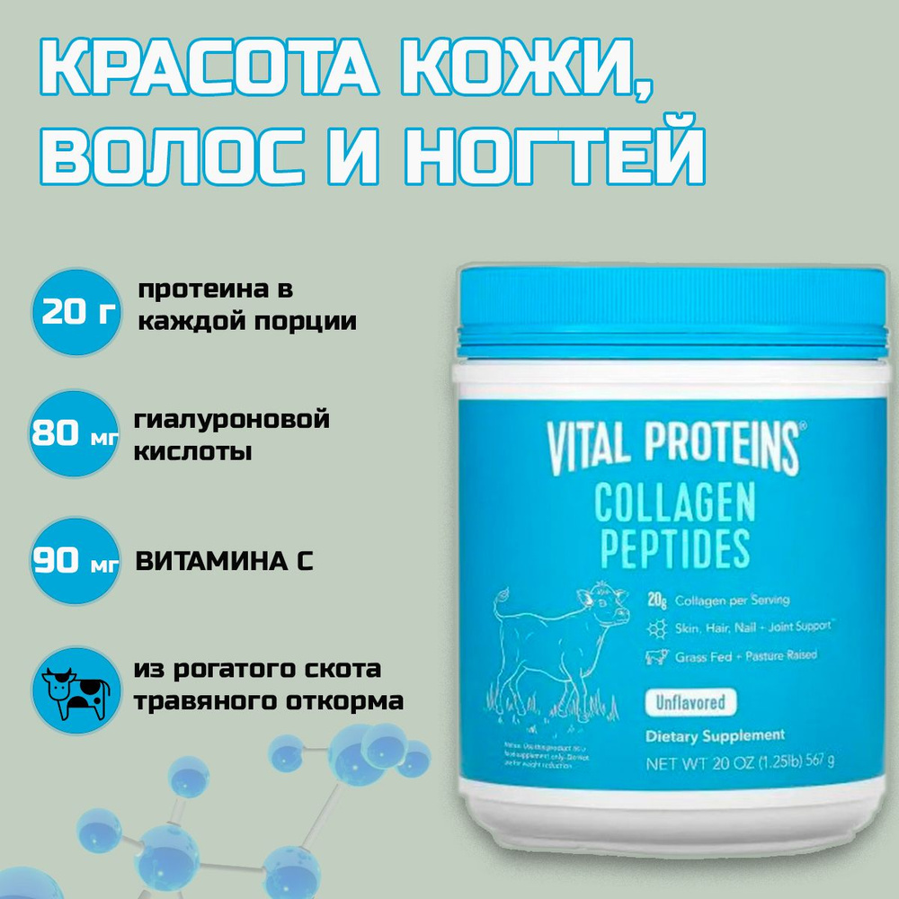 Vital proteins, коллаген порошок, коллаген для суставов, 567 гр., США  #1