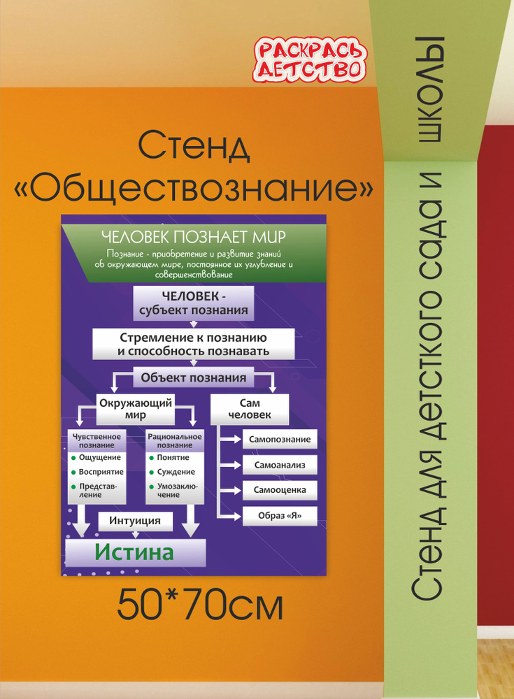 Плакат информационный для кабинета обществознания Человек познает мир 50х70см пластик  #1