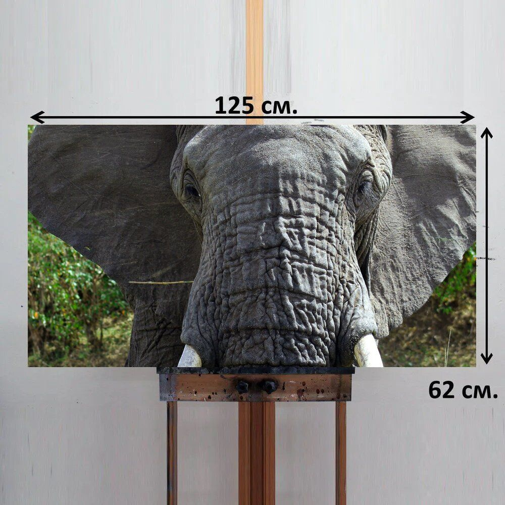 LotsPrints Картина "Слон, африка, сафари 92", 125  х 62 см #1