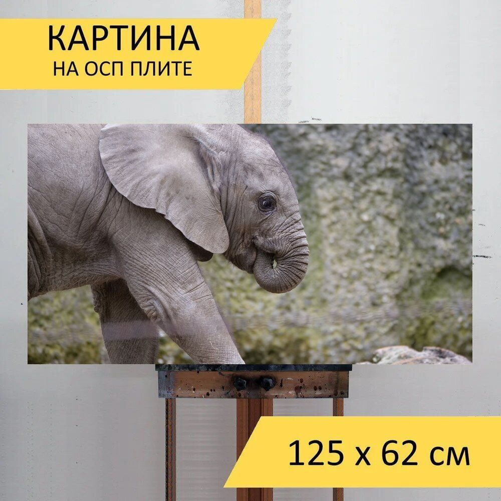 LotsPrints Картина "Слон, младенец, зоопарк 66", 125  х 62 см #1